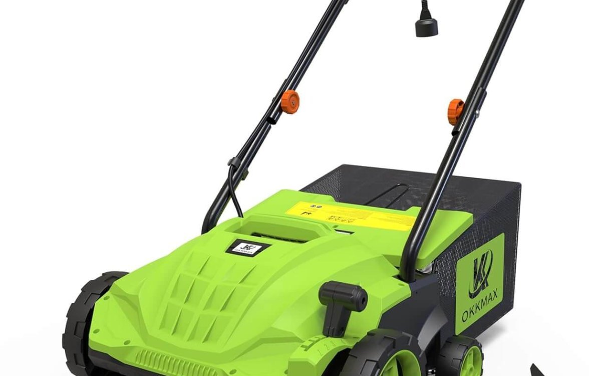 2-in-1 Electric Dethatcher Scarifier, Lawn Dethatcher with Collection Bag, 4-Position Depth Adjustment,13-Inch Working Width, Foldable Handle Design for Easy Carrying and Storage,Thatcher for Lawn